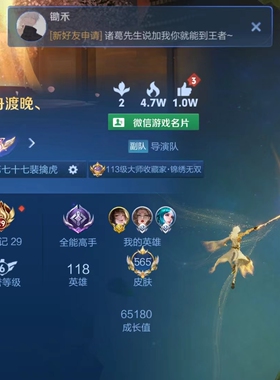 王者荣耀皮肤贵族10=565皮肤时之魔女碎月剑心龙年限定出租号买号