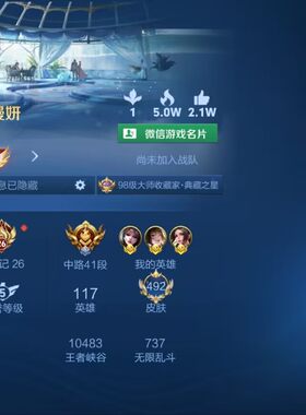 王者荣耀V10=492皮肤青丘九尾7典藏紫瑶挚爱飞将深海之息租号