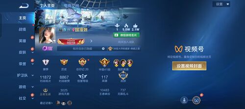 王者荣耀V10=492皮肤青丘九尾7典藏紫瑶挚爱无双飞将深海之息租号