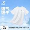主图