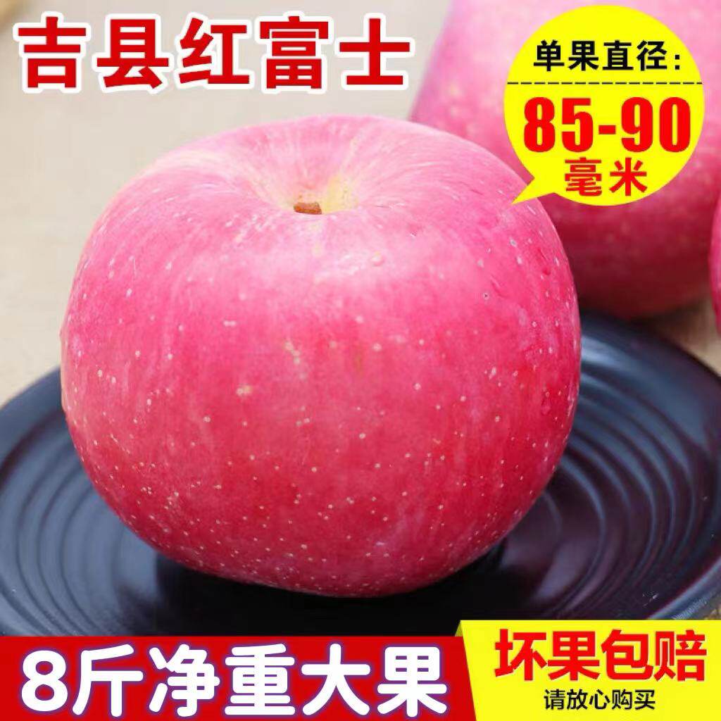 吉县苹果现摘壶口红富士