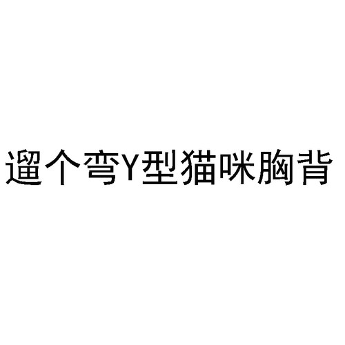 HiDREAM猫咪牵引绳Y型秒控防后退挣脱防窒息猫胸背套装