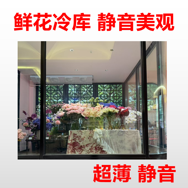 123匹鲜花水果蔬菜冷藏小型餐车制冷凉菜猪肉柜制冷机后补式冷库