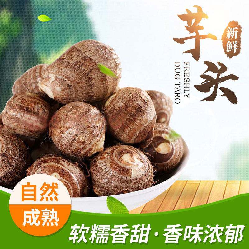 新鲜牛奶小芋头 农家现挖 果肉绵密有奶香 粗粮主食