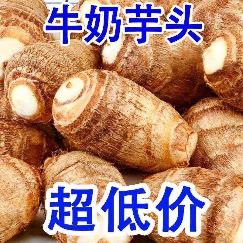 高山牛奶小芋头精挑鲜果大小均匀日常家庭食用粗粮