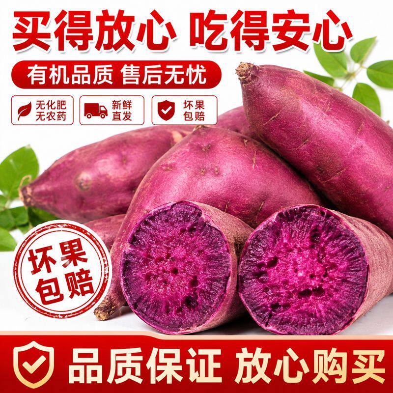 新鲜紫罗兰紫薯沙地现挖粉糯绵密自带清香粗粮紫心番薯