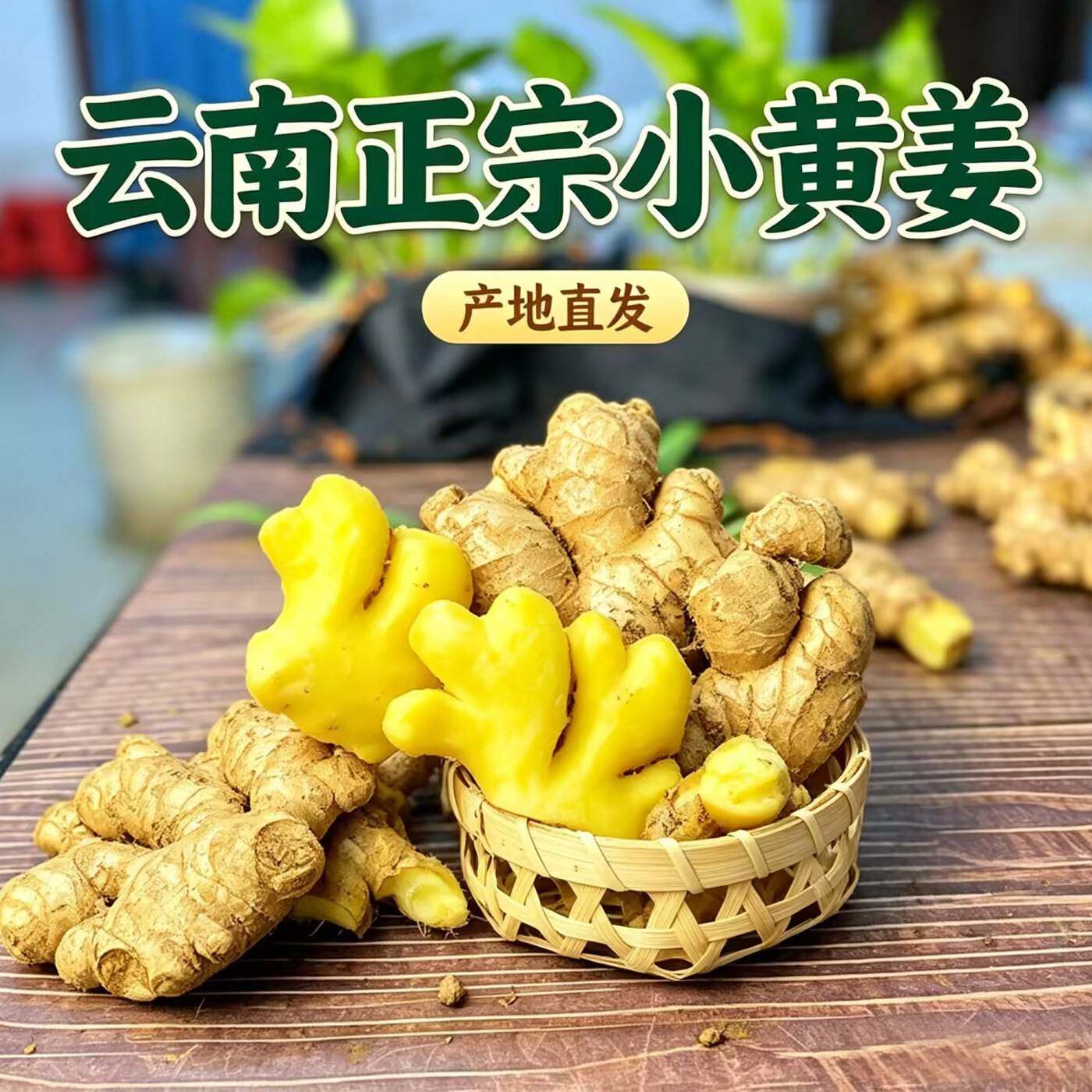 农家小黄姜当季现挖黄肉饱满纤维细腻日常厨房调味鲜姜