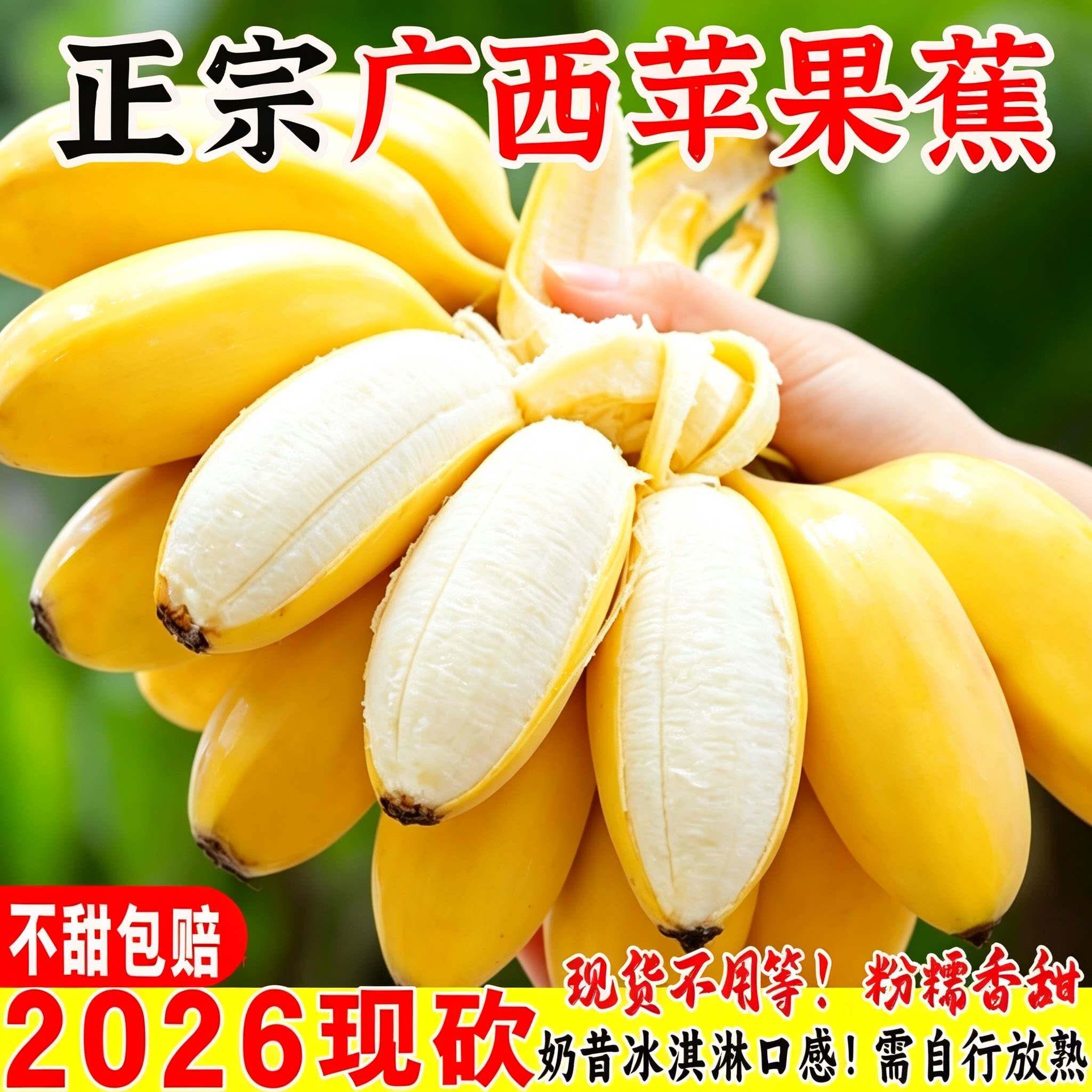 苹果蕉原生种植小香蕉绵润香甜当季生鲜水果