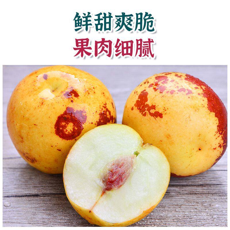 当季牛奶冬枣产地鲜果果肉脆嫩饱满清甜多汁现发