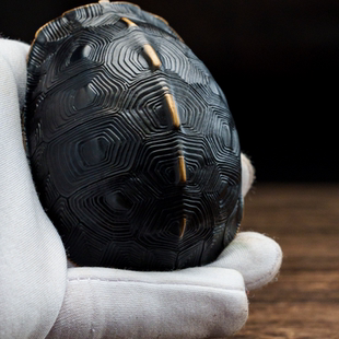 黄缘龟 青铜精工 手把件 秋坞居联合出品 铁拳匠造