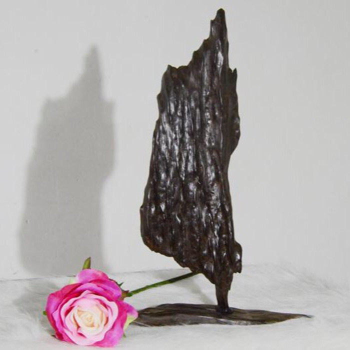 铁梨木阴沉木质乌木自然摆件创意根雕工艺品实木中式客厅家居饰品