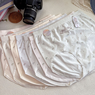 抑菌内裤 2220无缝碎花加大加肥大版 优织俏 女 播放幸福正片