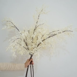 Высококачественное симуляция цветочного одиночного овсяного овсяного овсяного дома