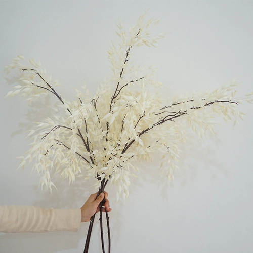 Высококачественное симуляция цветочного одиночного овсяного овсяного овсяного дома