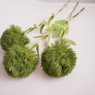 绿石竹超逼真手感仿真花家居装饰摆放花插花摆件摄影道具水培假花