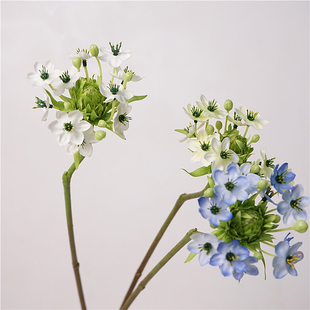 仿真花小清新天鹅绒伯利恒之星自然系花束配花软装插花花材婚庆花