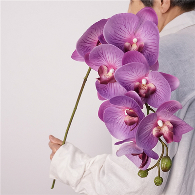 雪莉仿真花餐桌花艺蝴蝶兰保湿