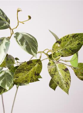 高品质仿真绿色植物香芋叶婚庆婚礼手捧花居家装饰插花花艺居家