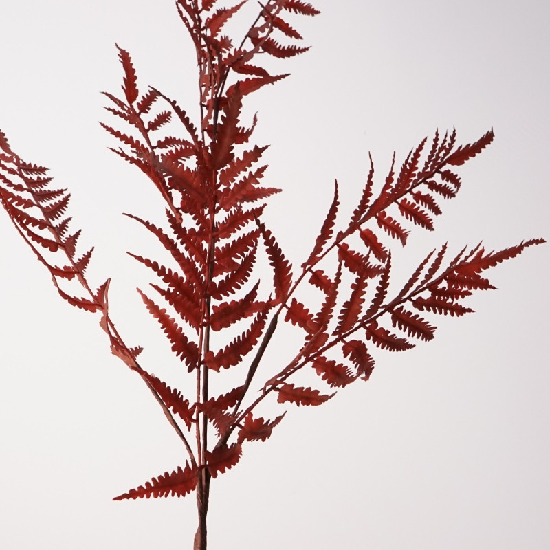 仿真花单枝金星蕨假花家居装饰摆件花艺摆设摄影道具花材,家居饰品,仿真花/假花,淘宝优惠券,粉丝福利购,淘宝优惠卷