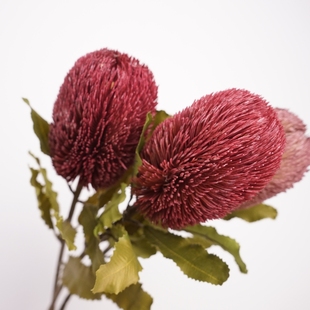 秋色系仿真花材班克木家居插花摆件玻璃花瓶玄关摆花软装婚庆道具