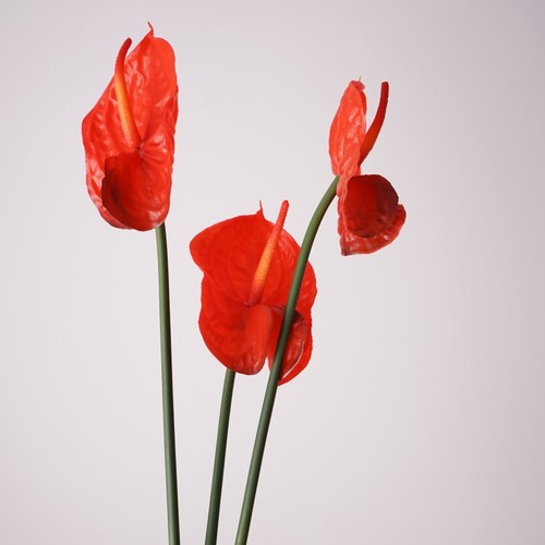 高品质仿真软胶中红掌假花仿真花艺居家摆设花艺装饰摄影道具花材