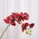 Мягкий клей 7 Большой орхидея-леопардовый красный 75 см