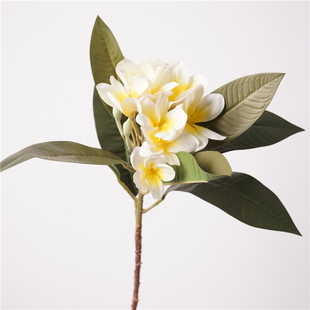 高品质仿真花手感鸡蛋花假居家摆设花艺装饰品摄影道具花材插花束