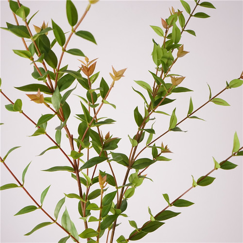 仿真绿植手感尖叶尤加利绿色家居装饰摆件摄影道具花艺花材花插花