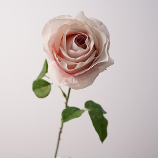 复古系 单枝手感芬得拉玫瑰仿真花装饰花艺家居客厅桌面摆件假花