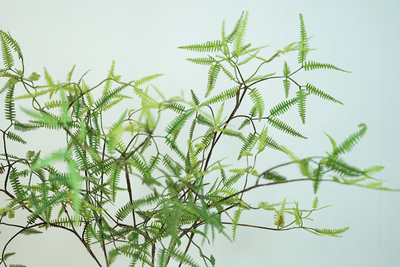 芒萁竹叶立体飘逸装饰摆件高仿真