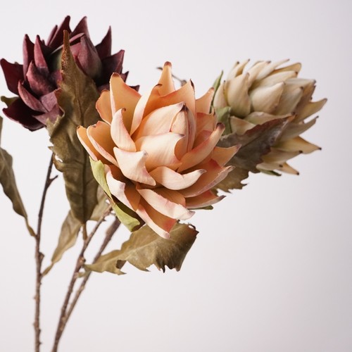 仿真花单头 卡塔罗 帝王花干花束假花摆设装饰摆件花客厅花艺插花