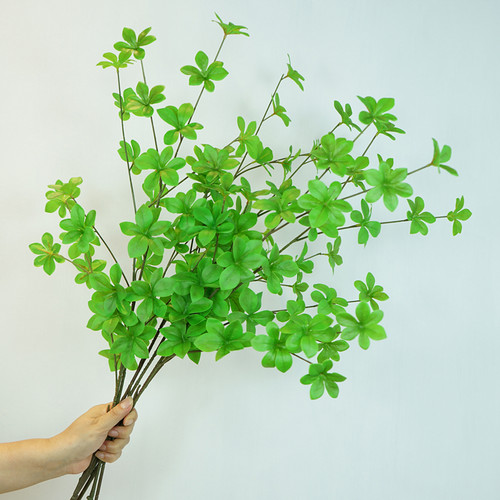 日本吊钟样板间客厅婚礼绿植叶子