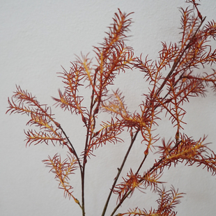 仿真植物手感软胶长枝文竹叶子室内造景室外装饰绿植婚庆配饰假草
