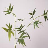 饰摆件绿色植物清新装 禅意线条花枝小竹叶单支新中式 室内装 饰摆件