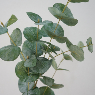 北欧高品质秋色仿真植物澳洲暮秋尤加利长款落地装饰花艺软装陈设