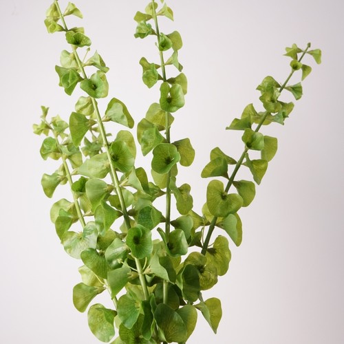 高品质中贝壳花高端样板间陈列花精品叶材小清新绿色系列插花装饰