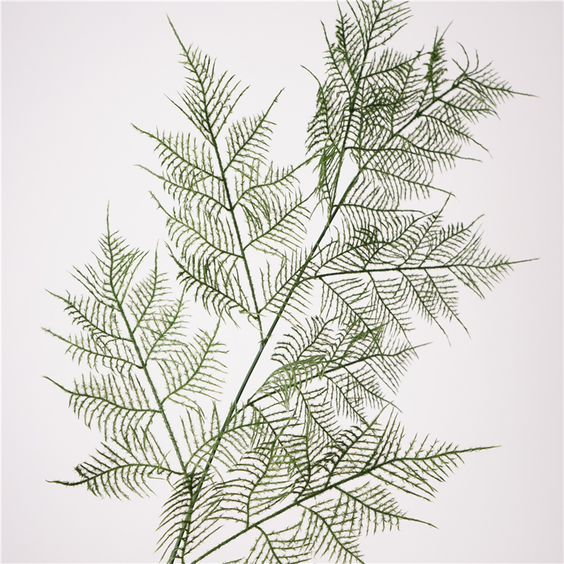 高品质仿真9叶文竹枝植物居家摆设花艺装饰品 摄影道具花材绿植叶