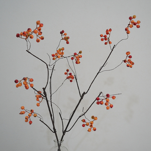 浆果枝森系仿真花艺大枝山藤果软装陈列婚庆造景家居装饰艺术插花