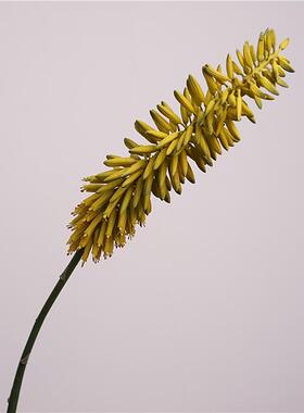 仿真手感软胶保湿仿真花艺