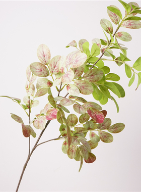 仿真花大枝蚕豆叶假花 居家摆设花艺装饰品摄影家居道具花材花艺