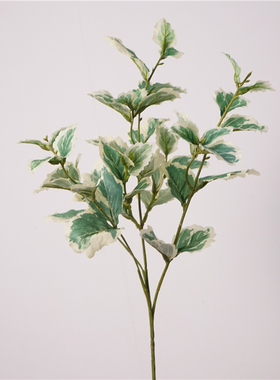 现代简约高仿真植物装饰叶子香草叶六月雪插花配叶办公室绿植摆件