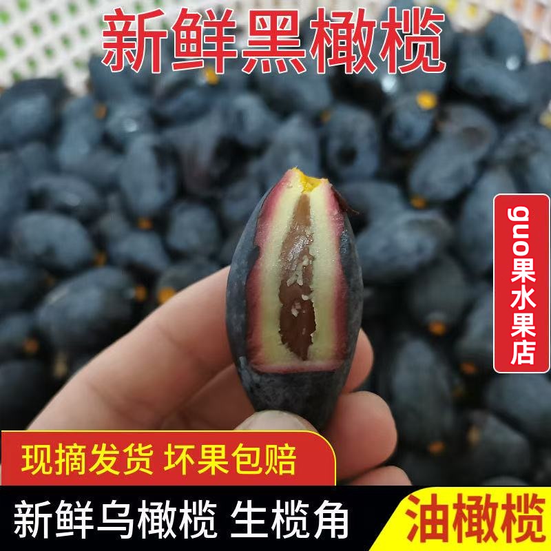 黑橄榄乌橄榄油榄车酸榄左尾榄