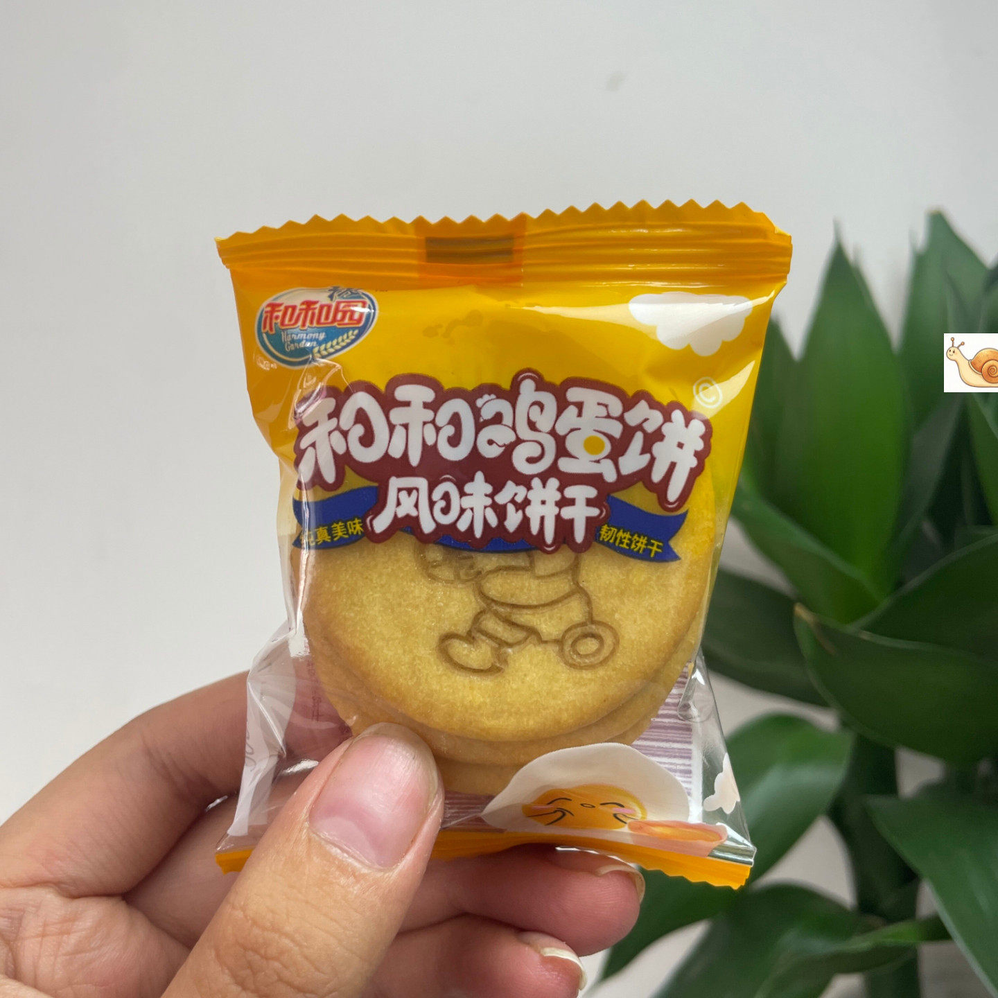 鸡蛋风味饼干休闲办公小