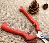 园艺修枝采果芽剪刀 疏果剪刀 修花稀果摘果剪葡萄剪水果蔬