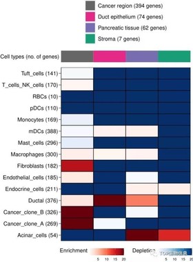 【空间转录组】MIA分析，评估空间region富集的细胞类型