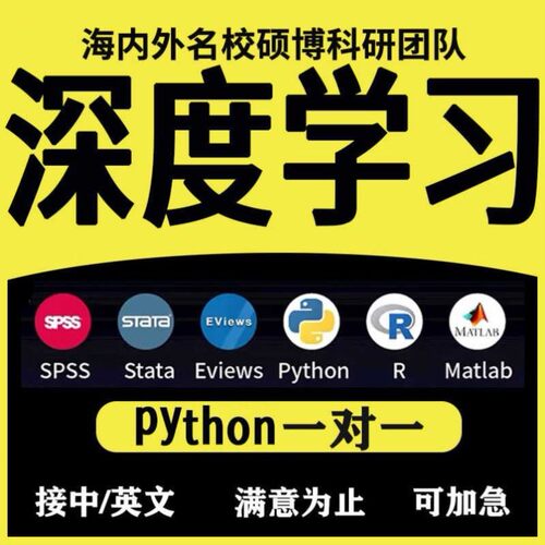 python深度学习机器优化算法代做跑编程服务代码复现指导编写接单