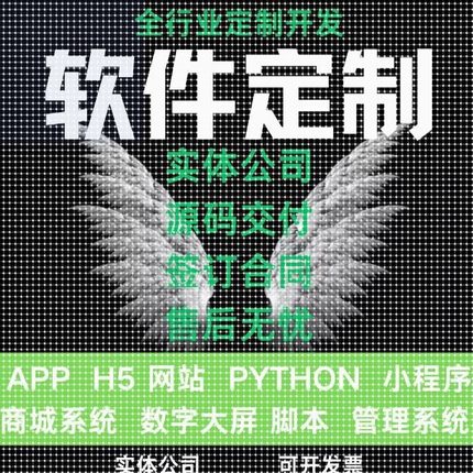 计算机程序设计JAVA代码编写MATLAB项目c+代编代做开发软件python