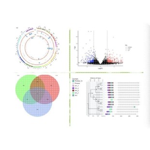 整套生信分析服务多组学联合TCGA GEO公共数据库挖掘单细胞测序