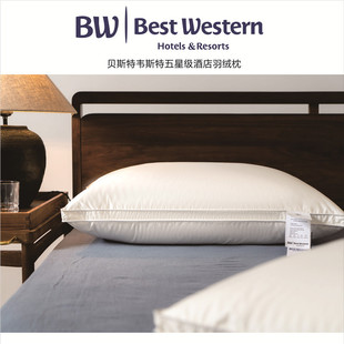 美国【BW】五星级酒店羽绒枕家用枕芯白鹅绒护颈枕头全棉鹅毛枕头