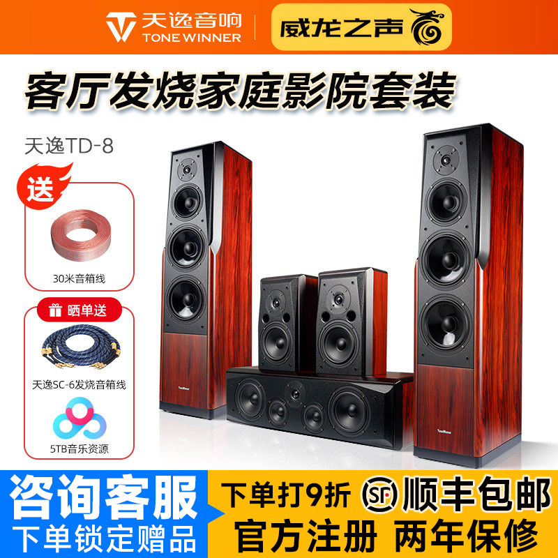Winner/天逸 童笛八号 TD-8家庭影院音响套装5.1高保真落地式音箱